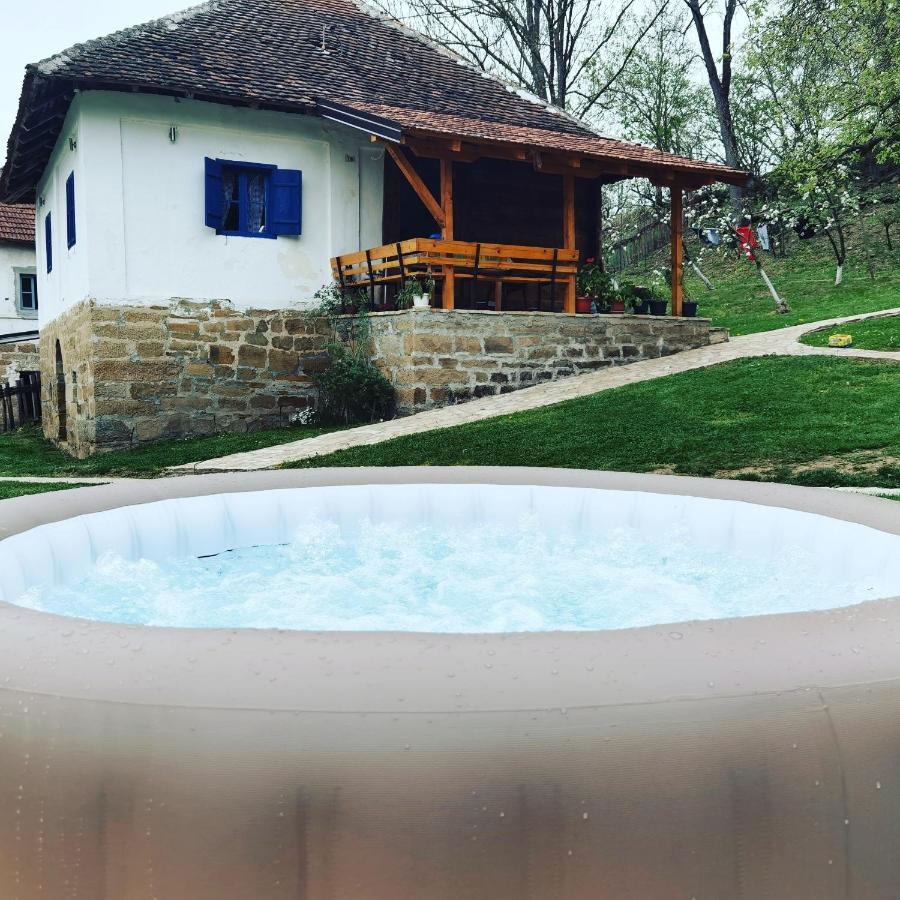 Stara Etno Kuca Radonjic Villa Guča Buitenkant foto