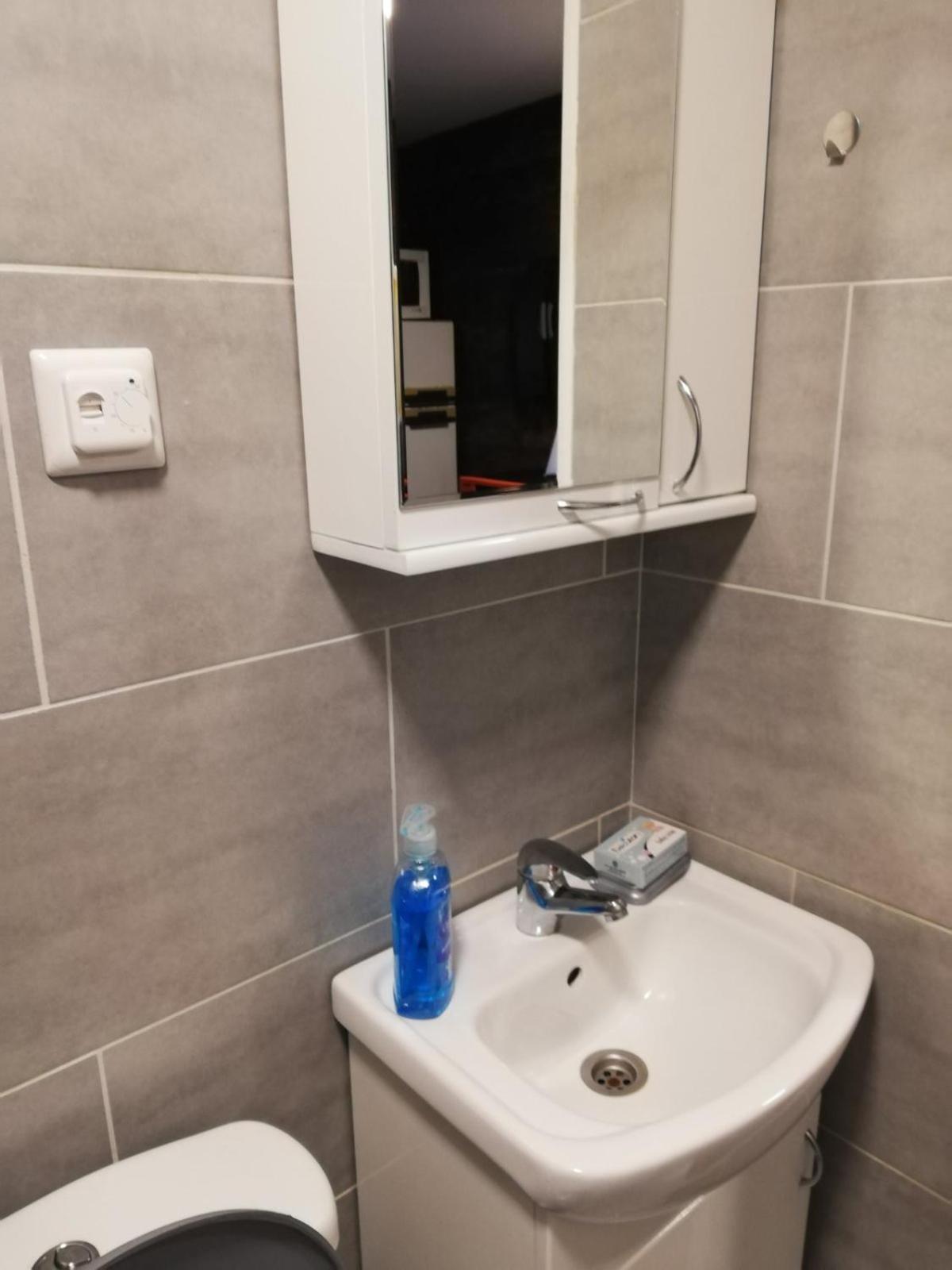 Stara Etno Kuca Radonjic Villa Guča Kamer foto