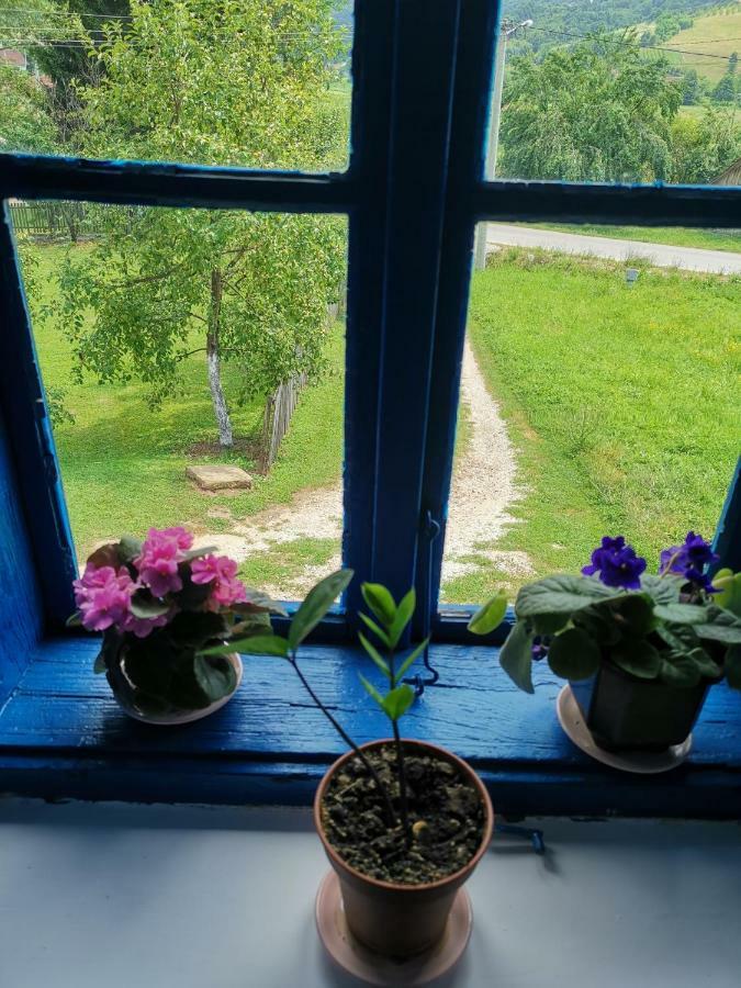 Stara Etno Kuca Radonjic Villa Guča Buitenkant foto