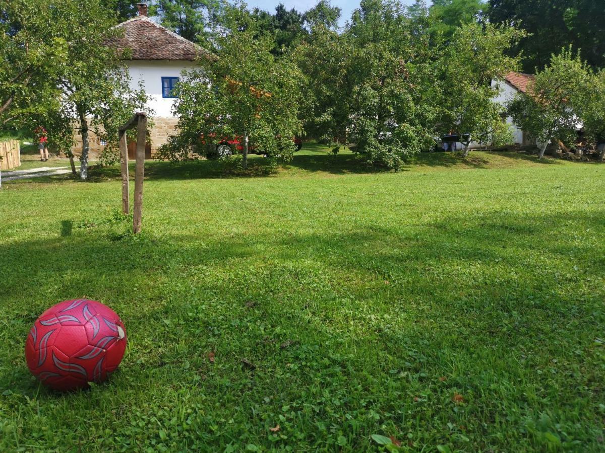 Stara Etno Kuca Radonjic Villa Guča Buitenkant foto