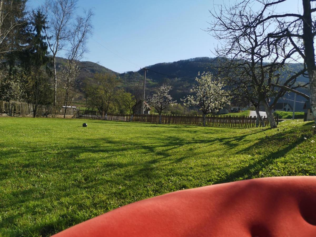Stara Etno Kuca Radonjic Villa Guča Buitenkant foto